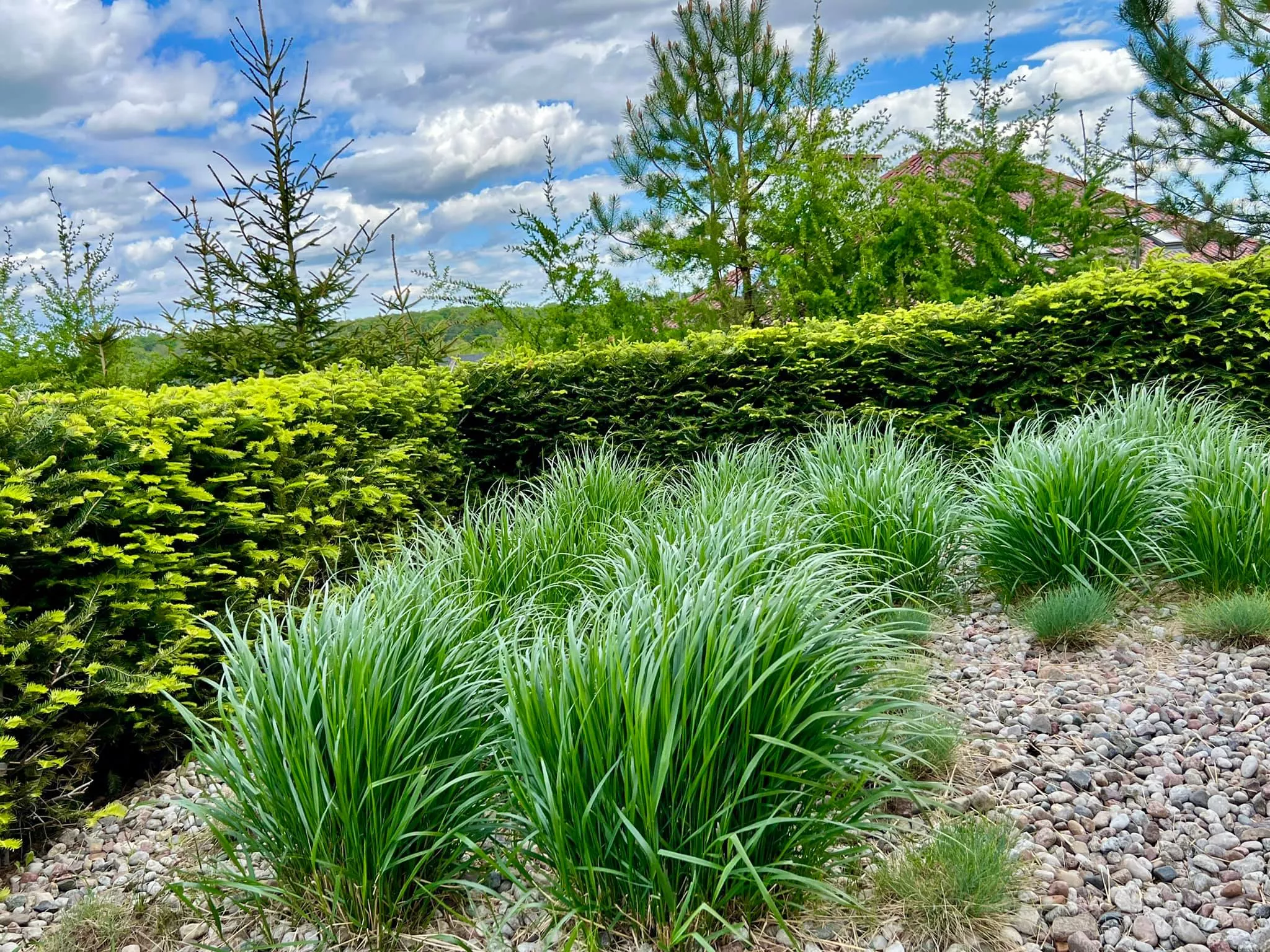 Gwiazda disco polo pochwaliła się wielkim, rajskim ogrodem! Wiemy kto go zaprojektował! Jest wyjątkowy! [ZDJĘCIA]